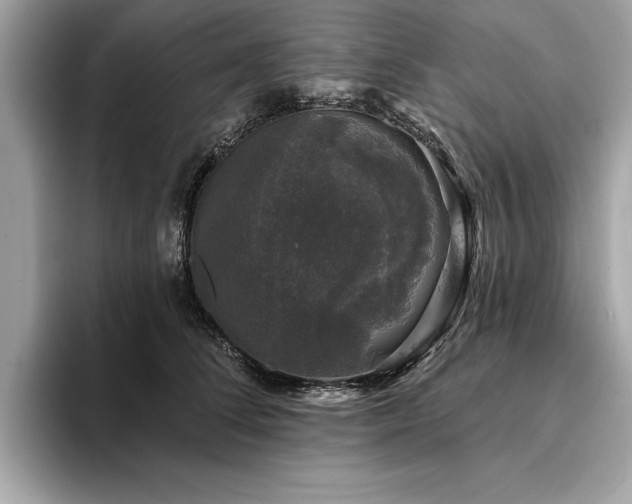 X0000093740708200710161139