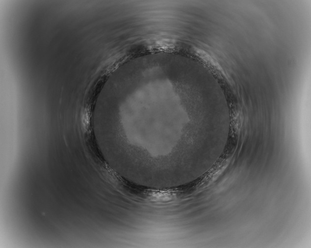 X0000093740709200710161139