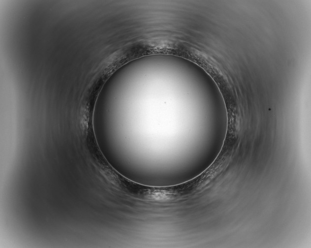 X0000093740710200710161139
