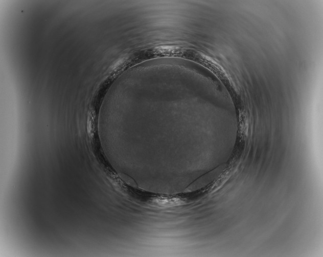 X0000093740712200710161139
