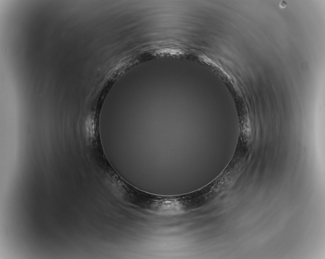 X0000093740715200710161139