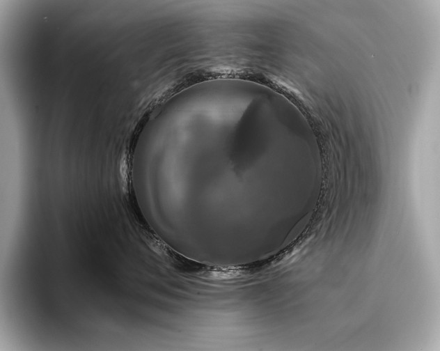 X0000093740720200710161139