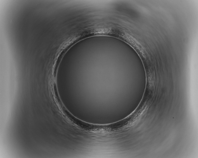 X0000093740721200710161138