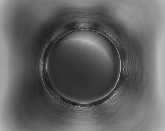 X0000093740722200710161138