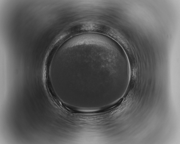 X0000093740724200710161138