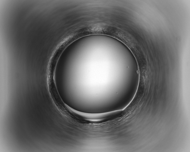 X0000093740728200710161138