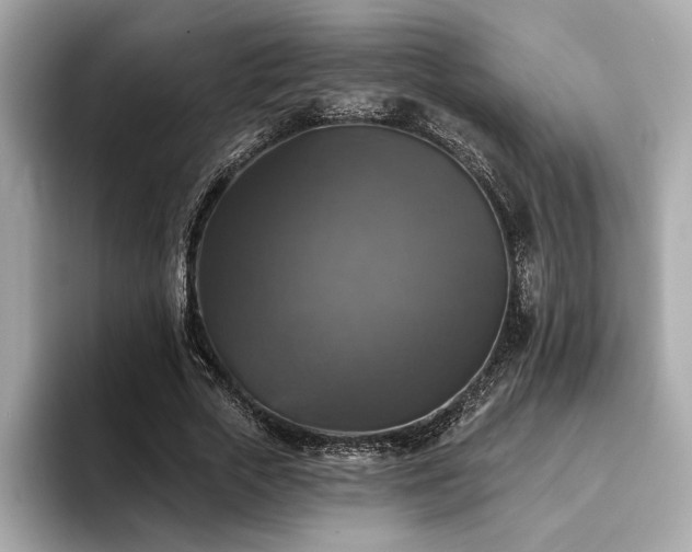 X0000093740729200710161138