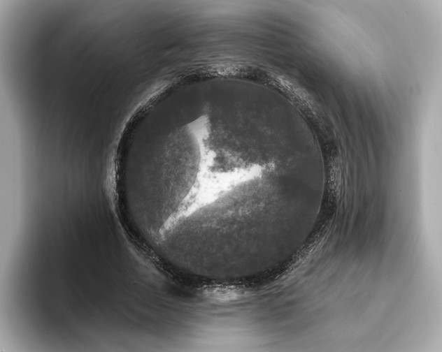 X0000093740730200710161138
