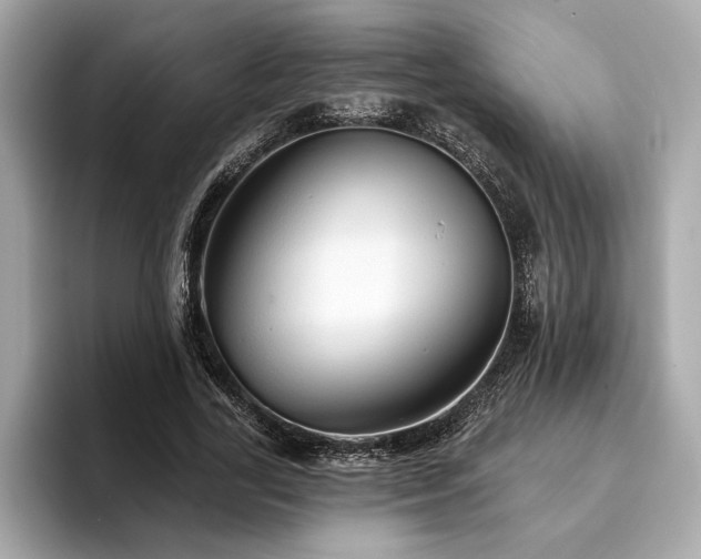 X0000093740731200710161138