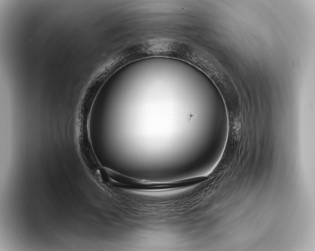 X0000093740732200710161138