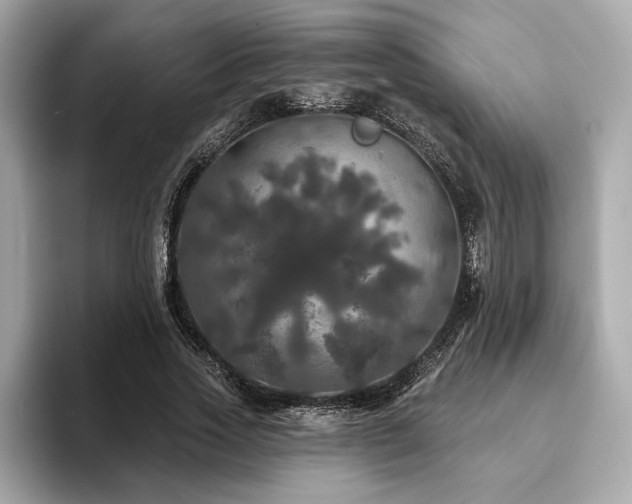 X0000093740733200710161138