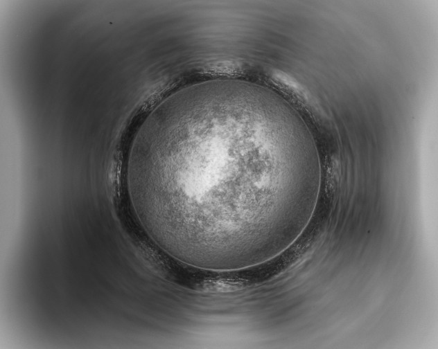 X0000093740739200710161138