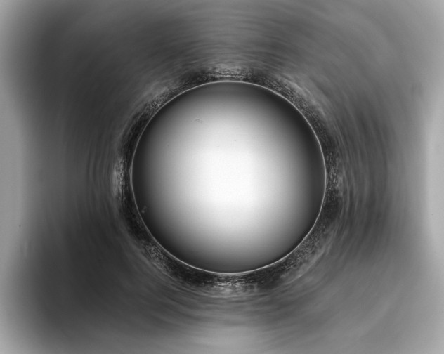 X0000093740744200710161138