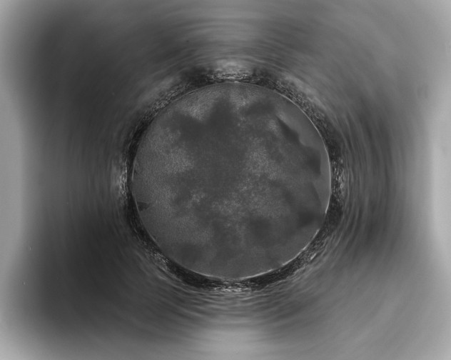 X0000093740745200710161138