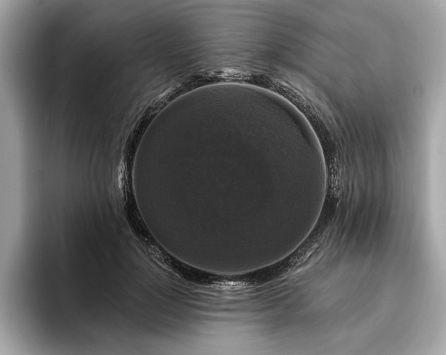 X0000093740748200710161138