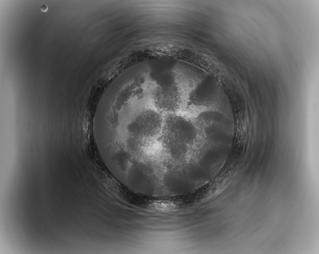 X0000093740749200710161138