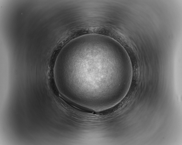 X0000093740750200710161138