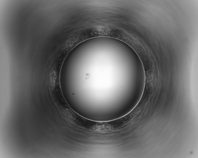 X0000093740752200710161138