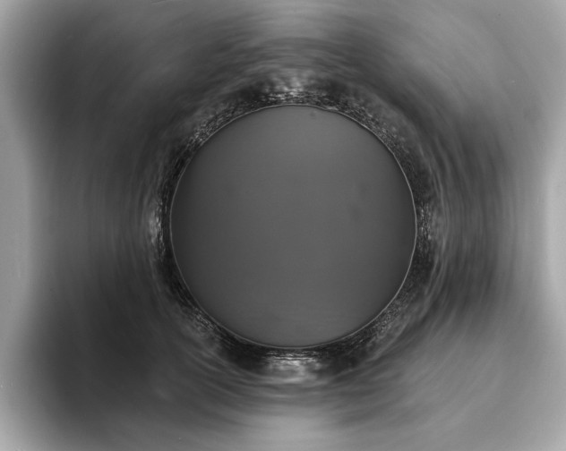 X0000093740754200710161138
