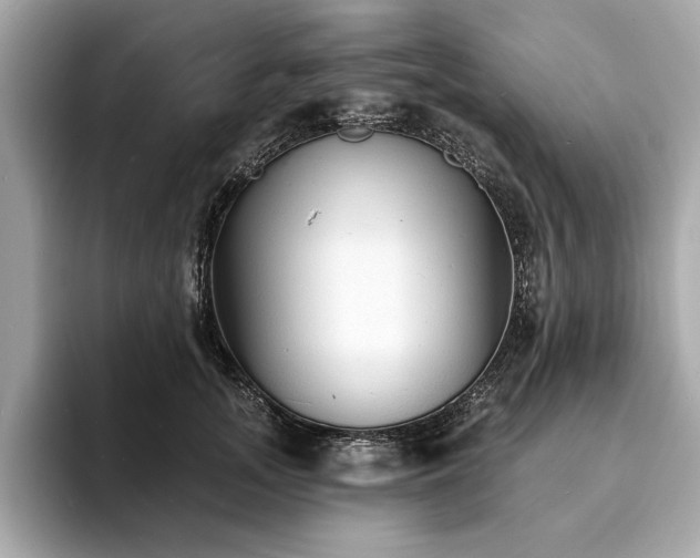 X0000093740755200710161139