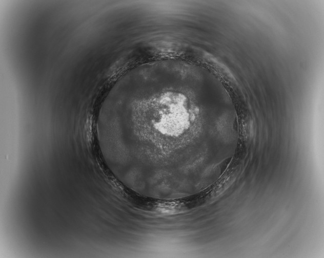 X0000093740757200710161139