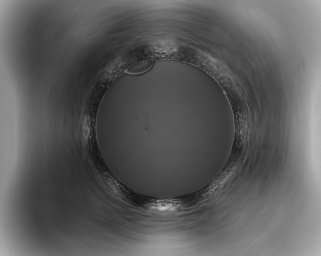 X0000093740758200710161139