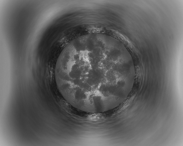 X0000093740761200710161139