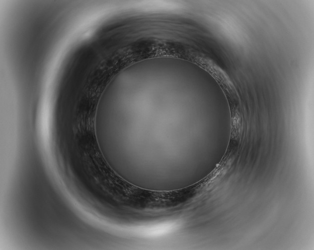 X0000093740765200710161139