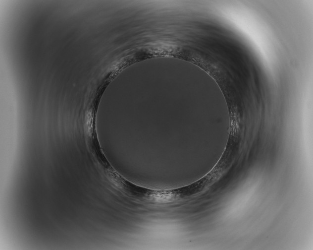 X0000093740767200710161139