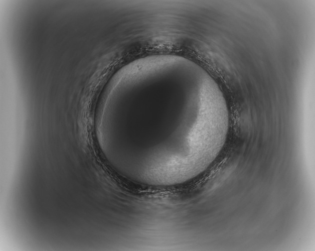 X0000093740769200710161138