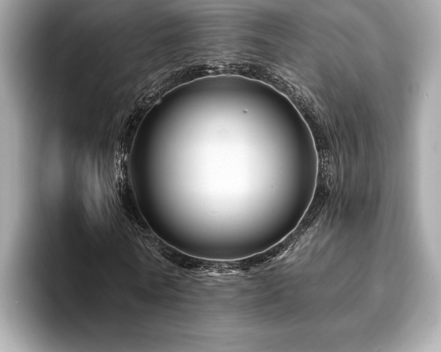 X0000093740770200710161138