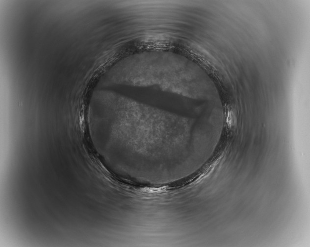 X0000093740771200710161138