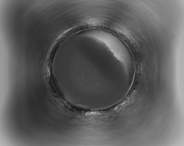 X0000093740776200710161138