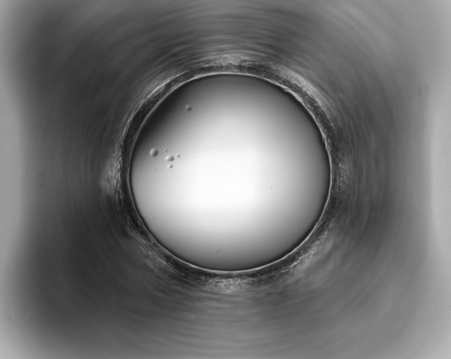 X0000093740778200710161138