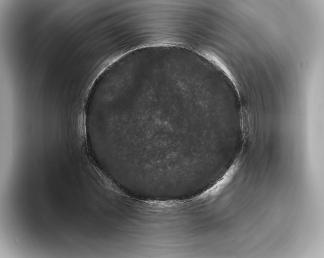 X0000093740781200710161138
