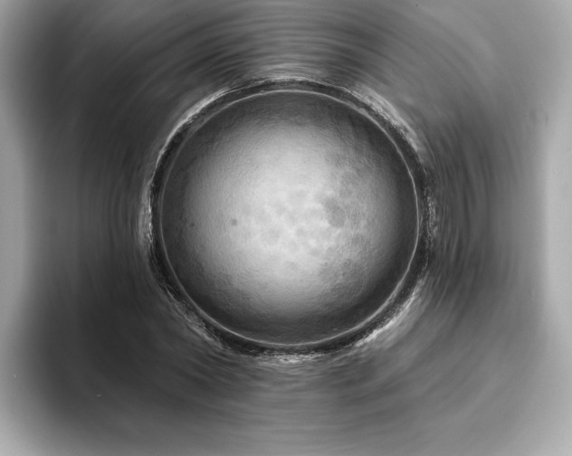 X0000093740782200710161138