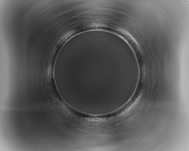 X0000093740785200710161138