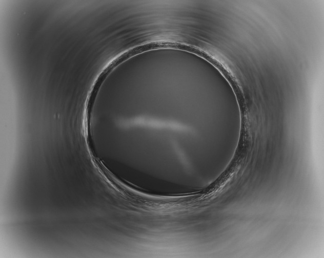 X0000093740791200710161138