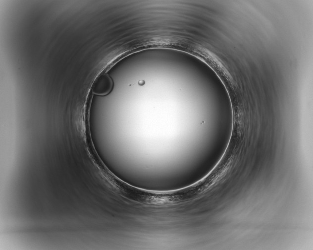 X0000093740794200710161138