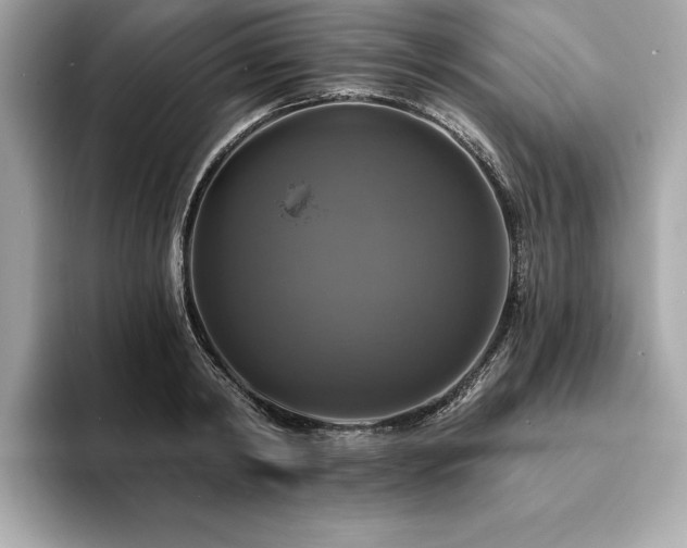 X0000093740798200710161138