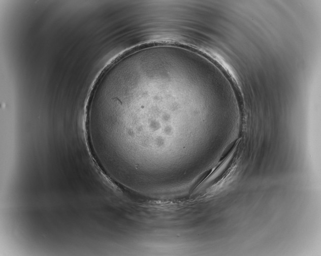 X0000093740799200710161138