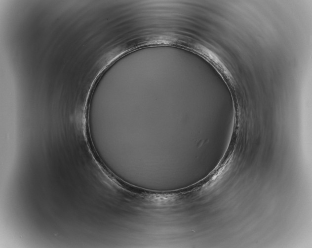 X0000093740802200710161138
