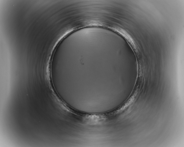 X0000093740806200710161138