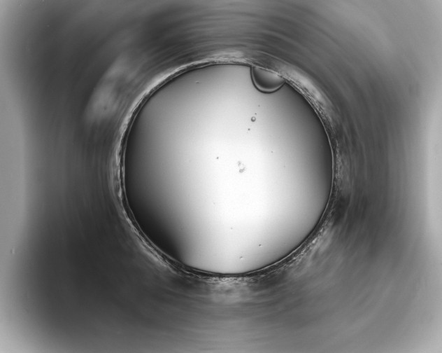X0000093740808200710161138