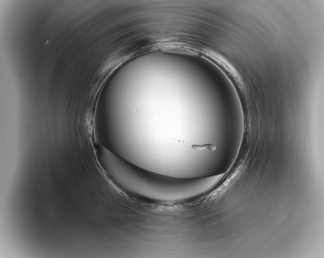 X0000093740809200710161138