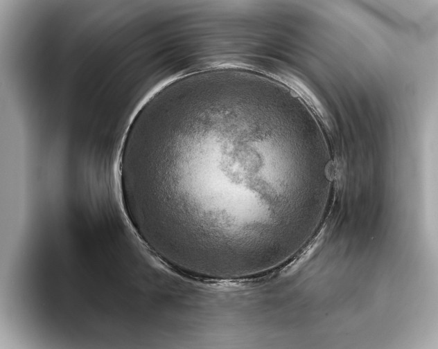 X0000093740814200710161138