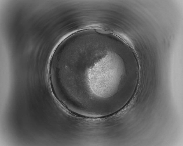 X0000093740816200710161138