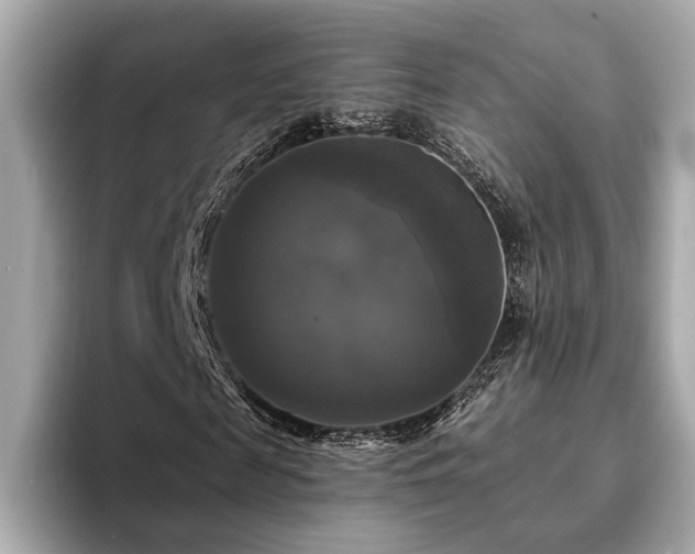 X0000093740817200710161137