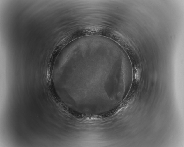 X0000093740819200710161137