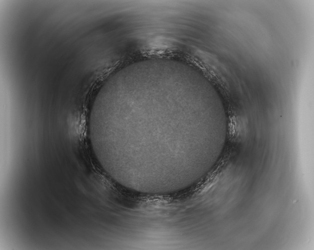 X0000093740820200710161137